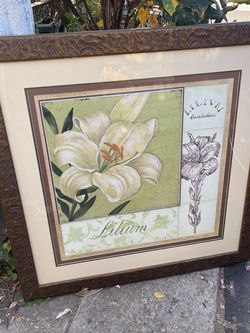 Beautiful Framed Picture