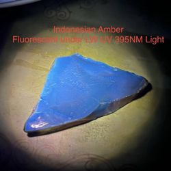 Indonesian Genuine Amber Polished Slice 21g HIGHLY FLUORESCENT Approx 3 1/2in AUTHENTIC RARE