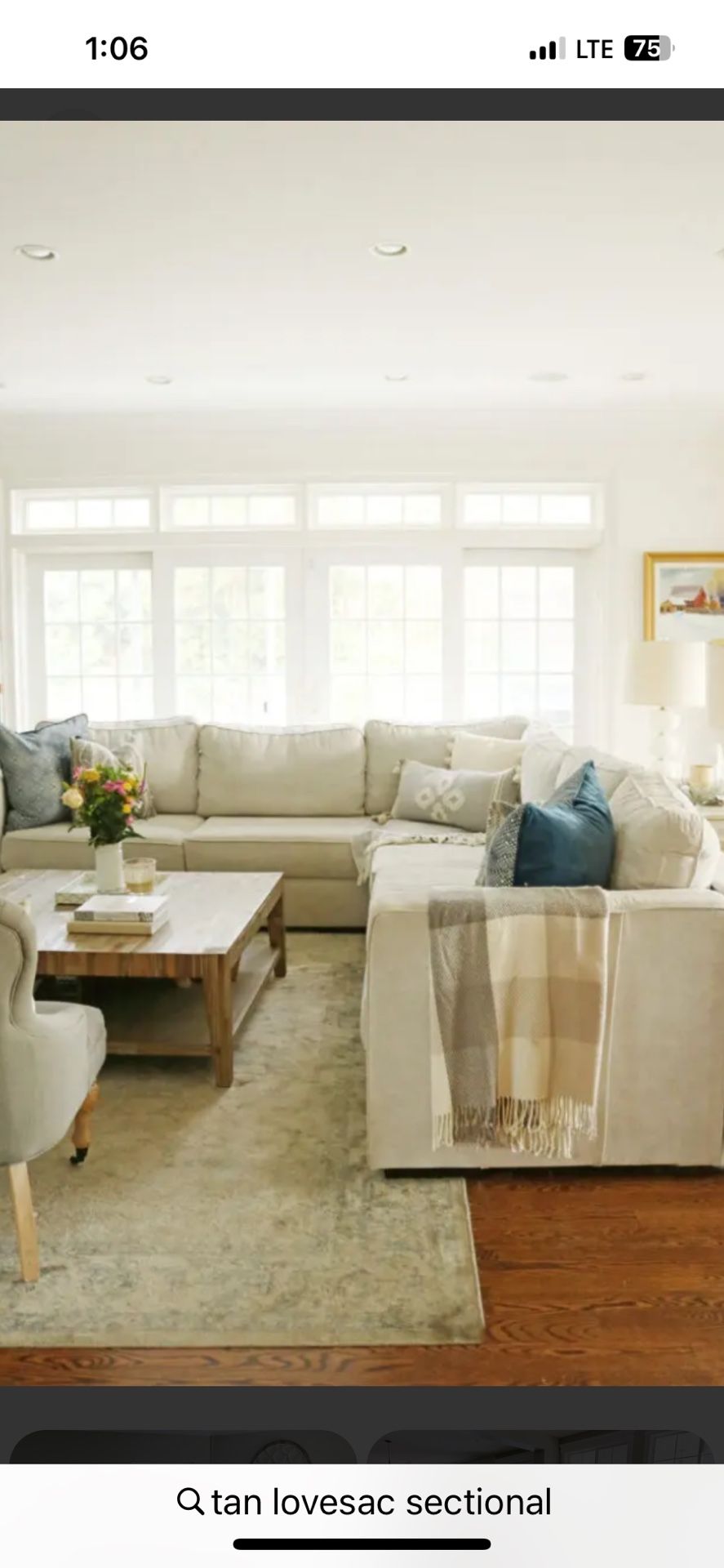 LoveSac Sectional And The Big One Beanbag.