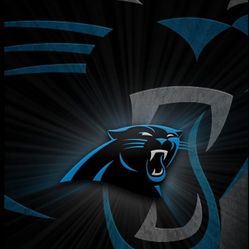 2 Tickets Cardinals Vs Panthers 