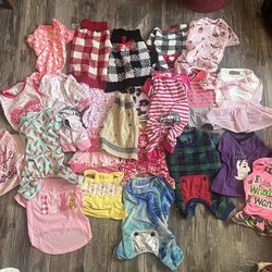 Clothes for Dog 🐶