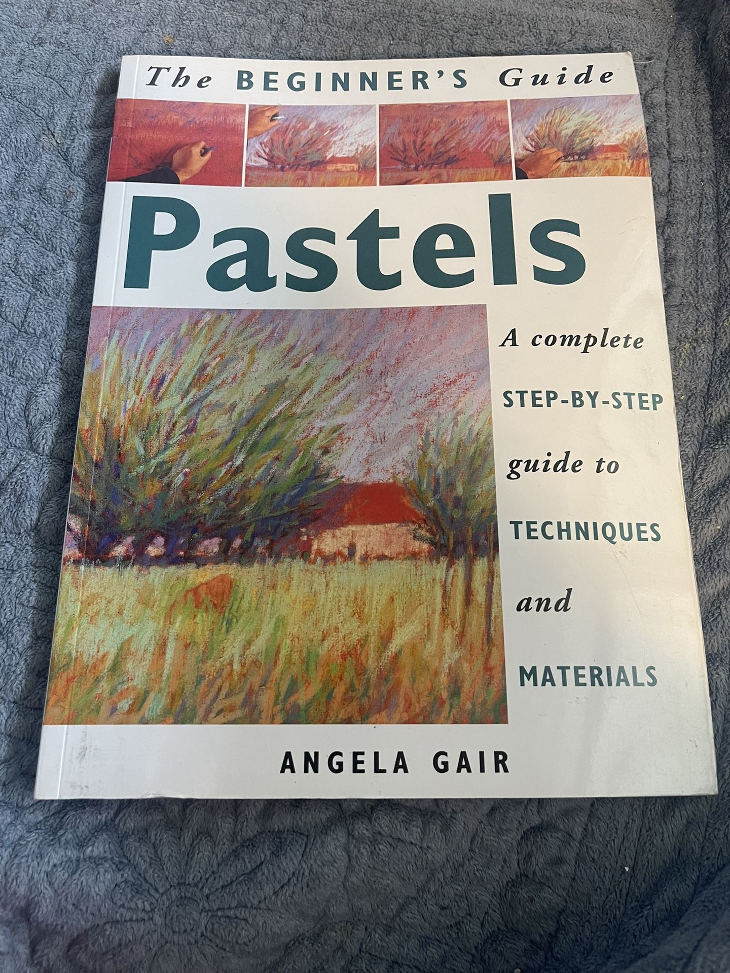 The Beginners Guide Pastels Book