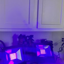 Pair Of Dj Black led Lights 