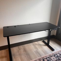 Electric Standing Desk 