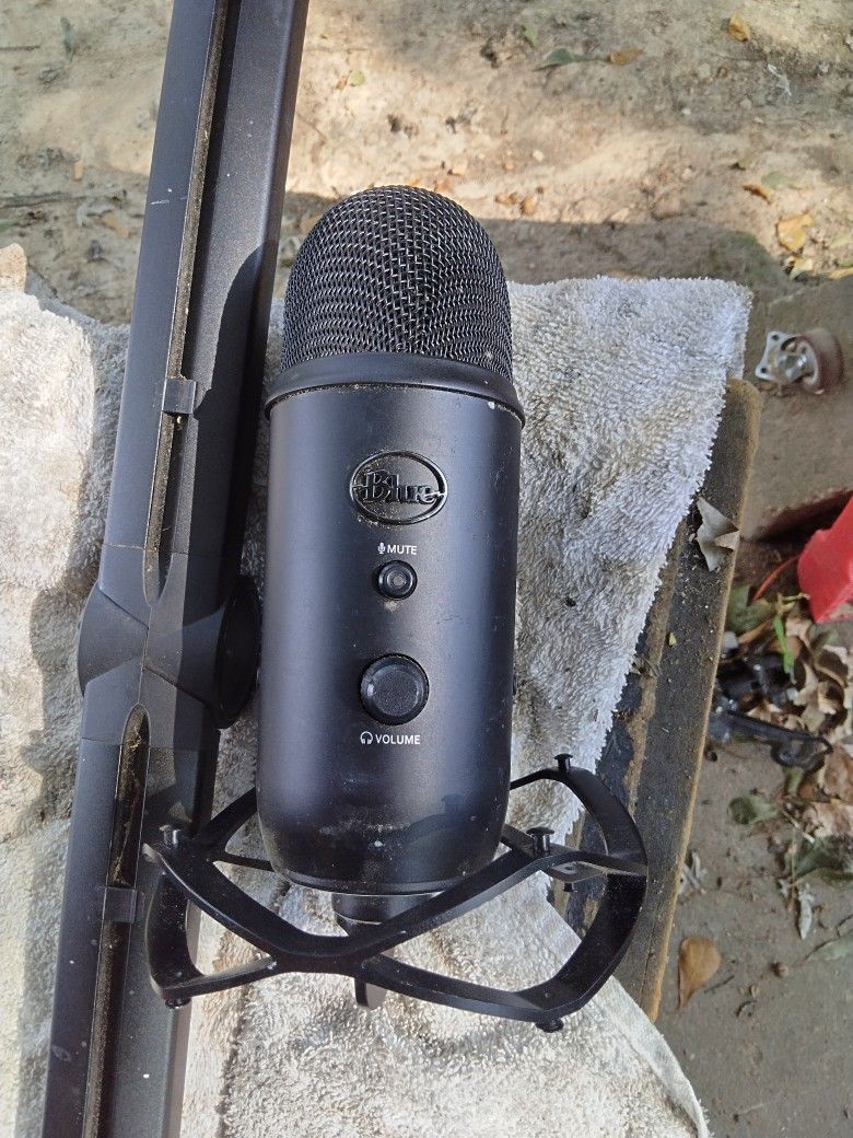Microphone