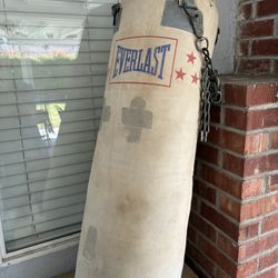 Punching Bag