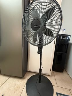 Fan