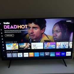 Vizio 43in TV