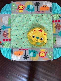 Bright Starts Ball Pit