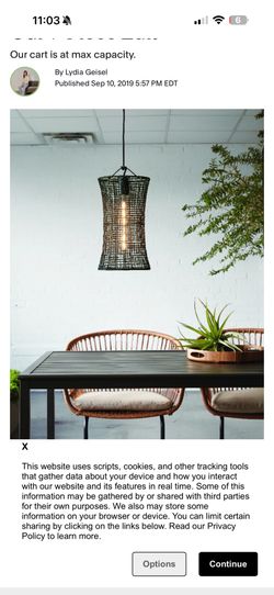 Target Leanne Ford Rattan Lamp