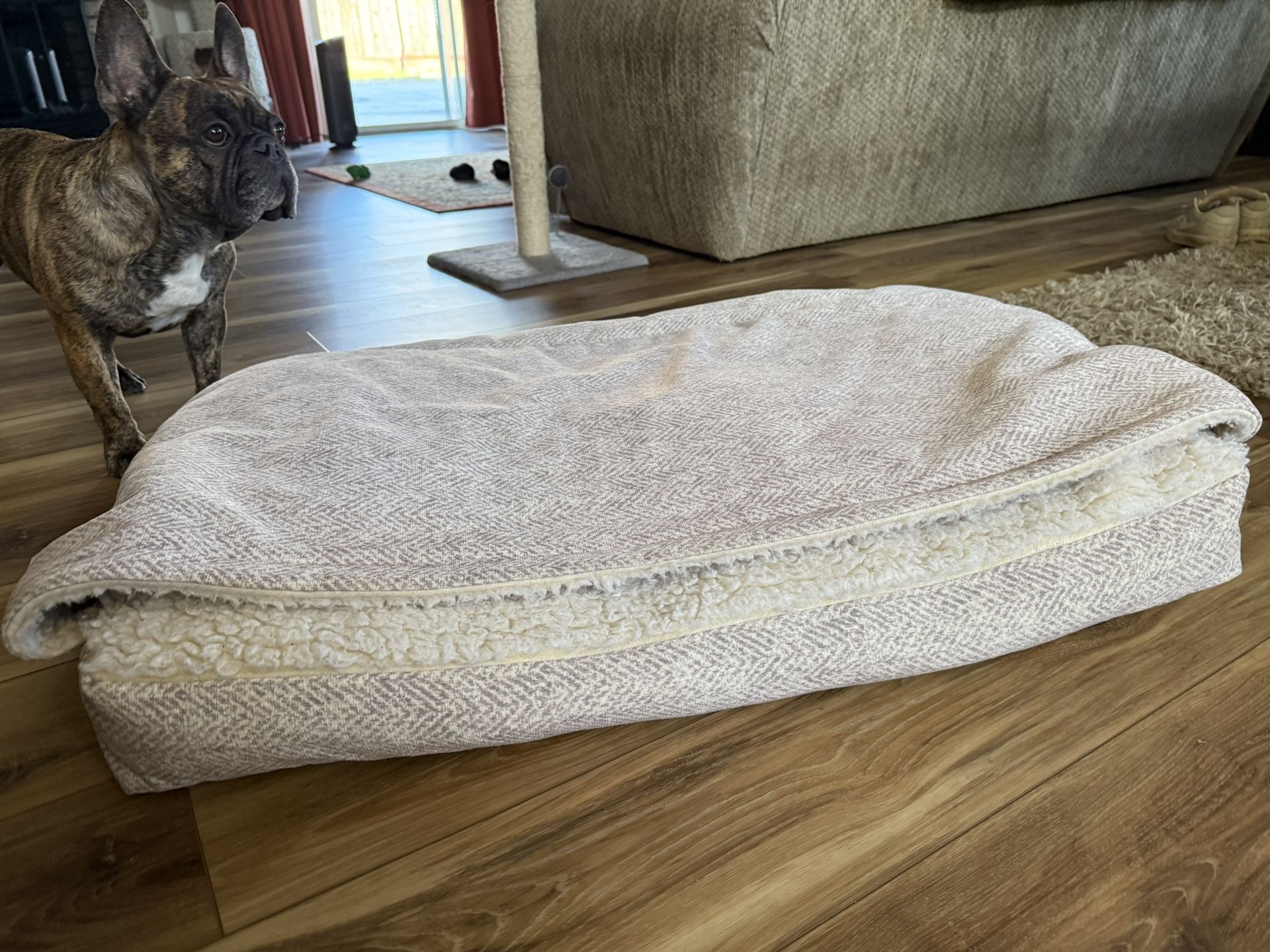Snoozer Cozy Cove, Dog Bed - Medium