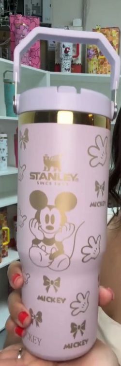 💗 Mickey & Friends 30oz Stanley