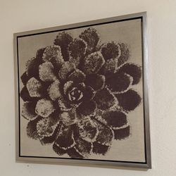 Framed Succulent Wall Art Print