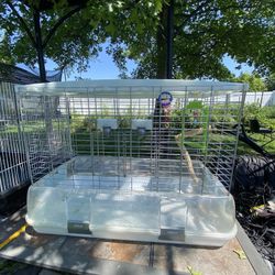 Parakeet Cage Width 14in Length 28in Height 23in