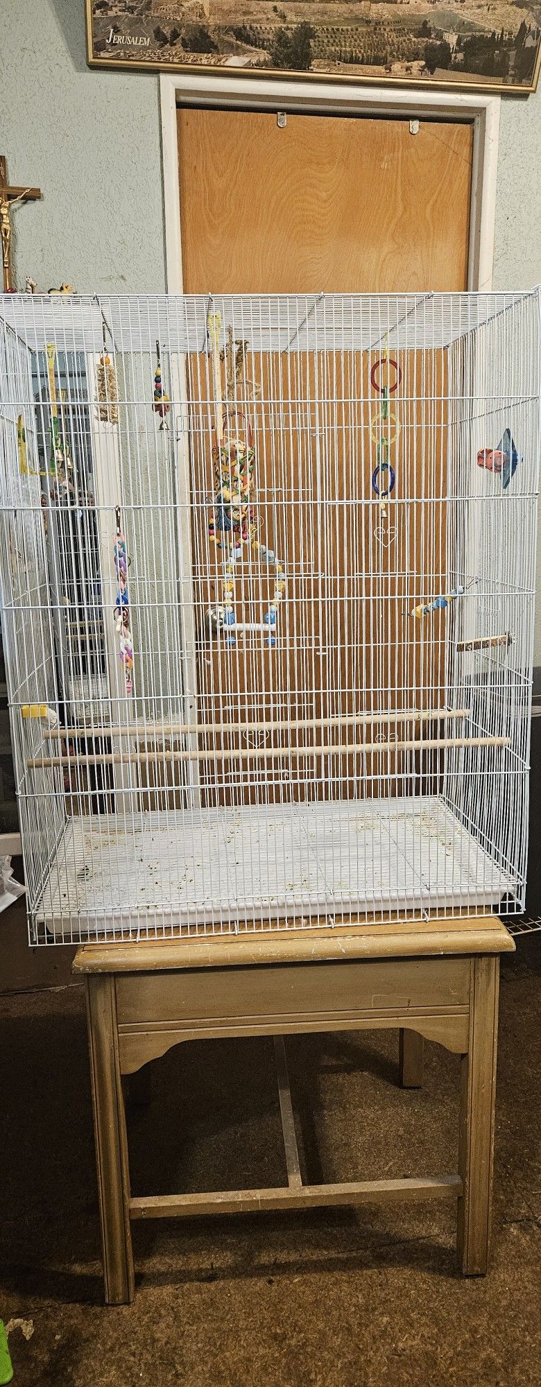 Bird Cage