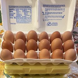 Farm Eggs