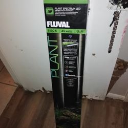 Fluval