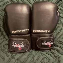 Like New Boxing Gloves (12oz)– Only Used Twice 