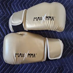 Max X MMA Boxing Gloves 