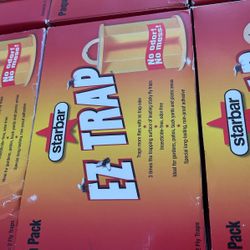 fly traps 2 pack