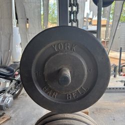 York 75 lb Olympic Weights