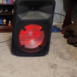 Ion Party Speaker