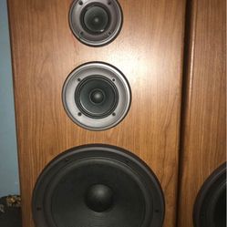 Surround Sound Speakers 