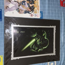 Star Wars Collectible