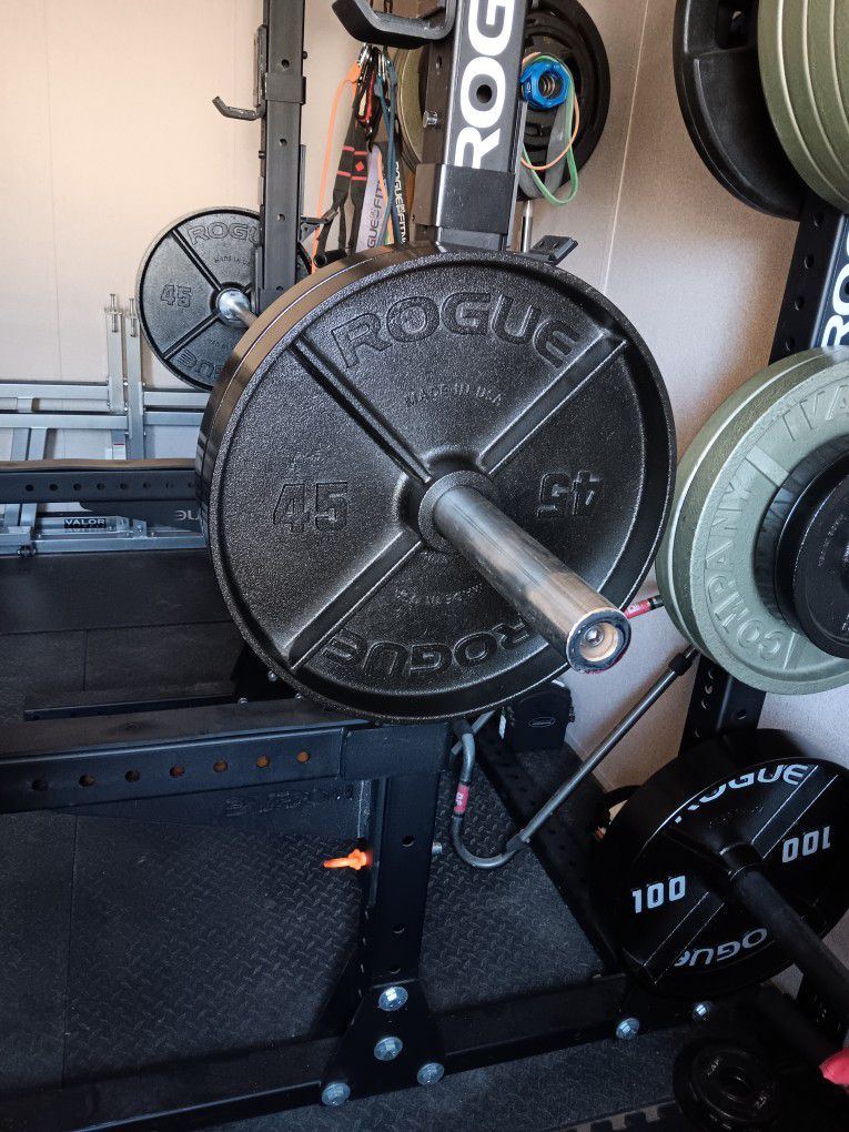 Rogue 45lb Deep Dish Olympic Plates With 45lb 7' Olympic Barbell 