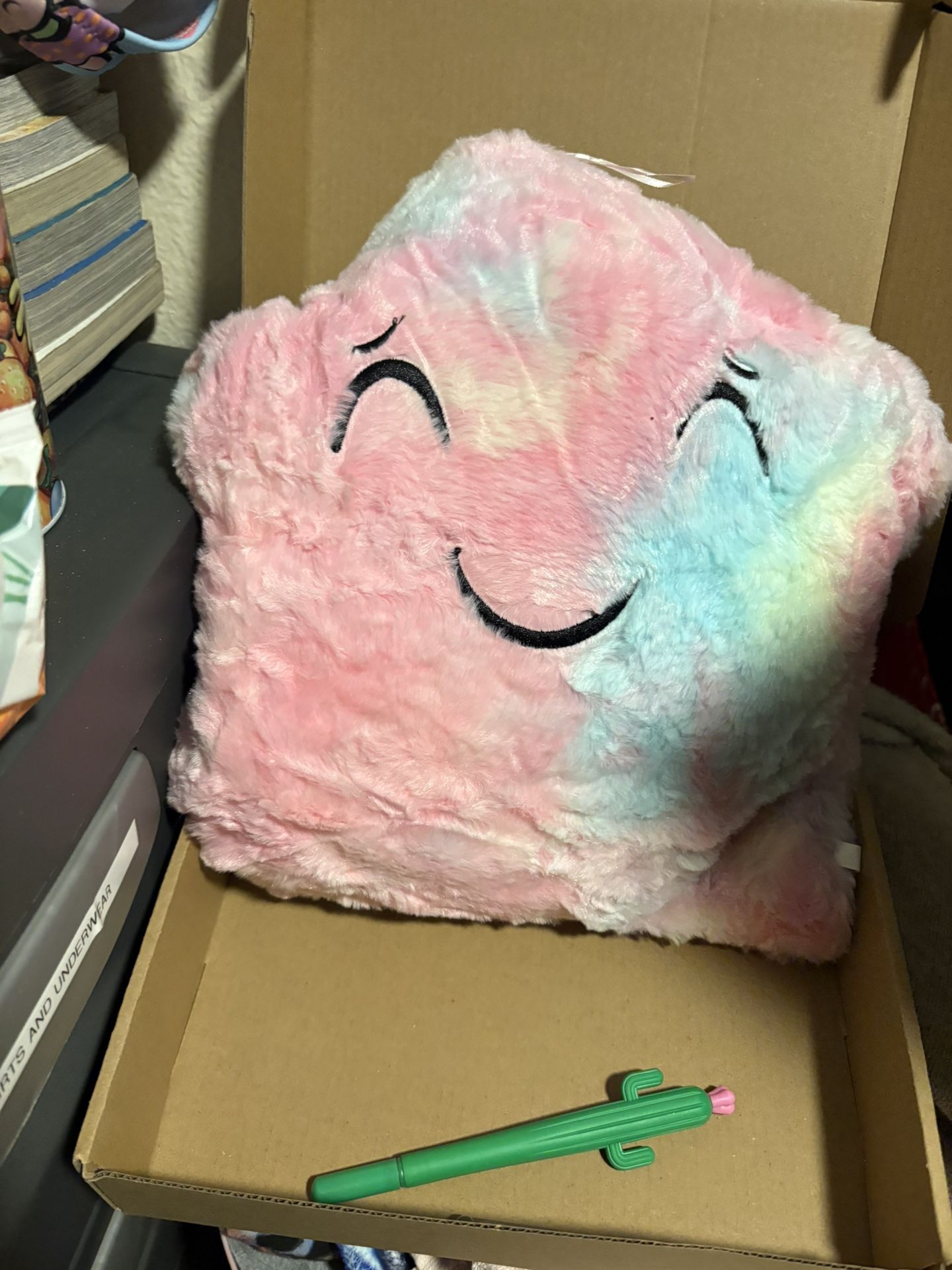 Autism Pillow