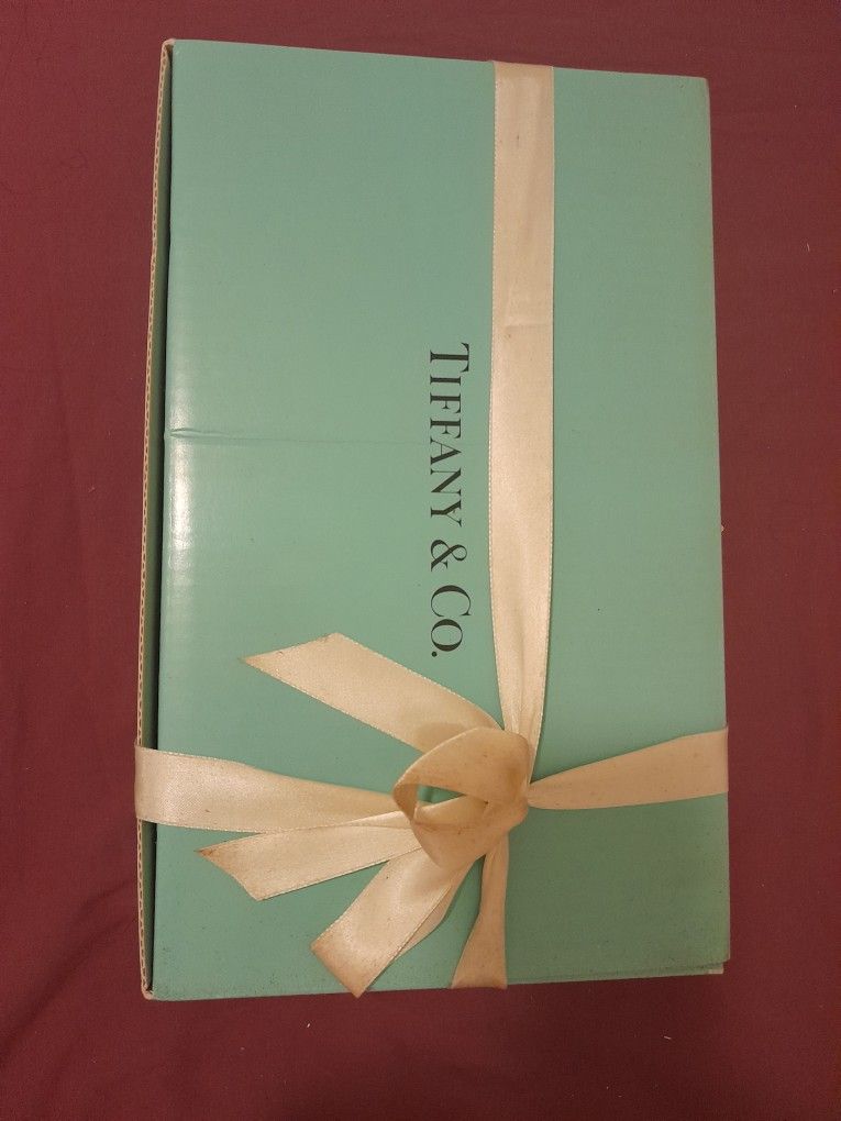 NEW Tiffany & Co. Champagne Flutes