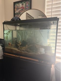 29 gal fish tank