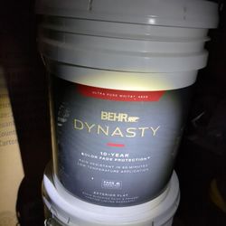 Behr Dynasty Flat White Paint 