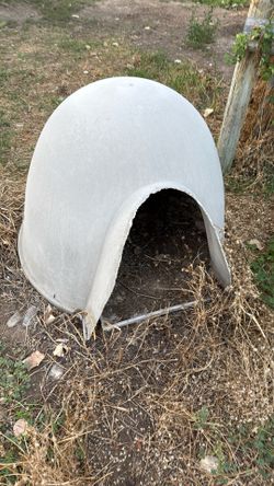 Dog House 