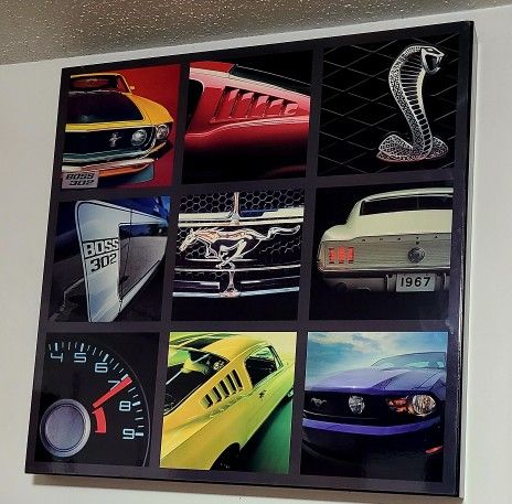 Ford Mustang Mach 1 Boss 302 Cobra 22x22x2 Print