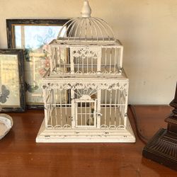Bird Cage Decolor