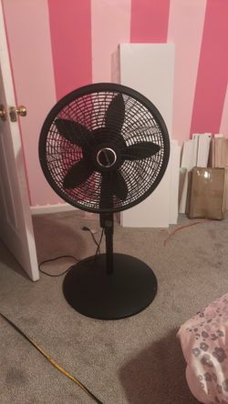 fan