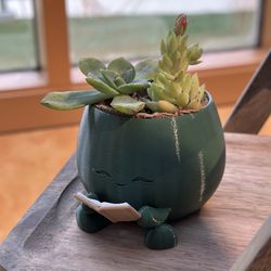 Teacher gifts succulent reading pot