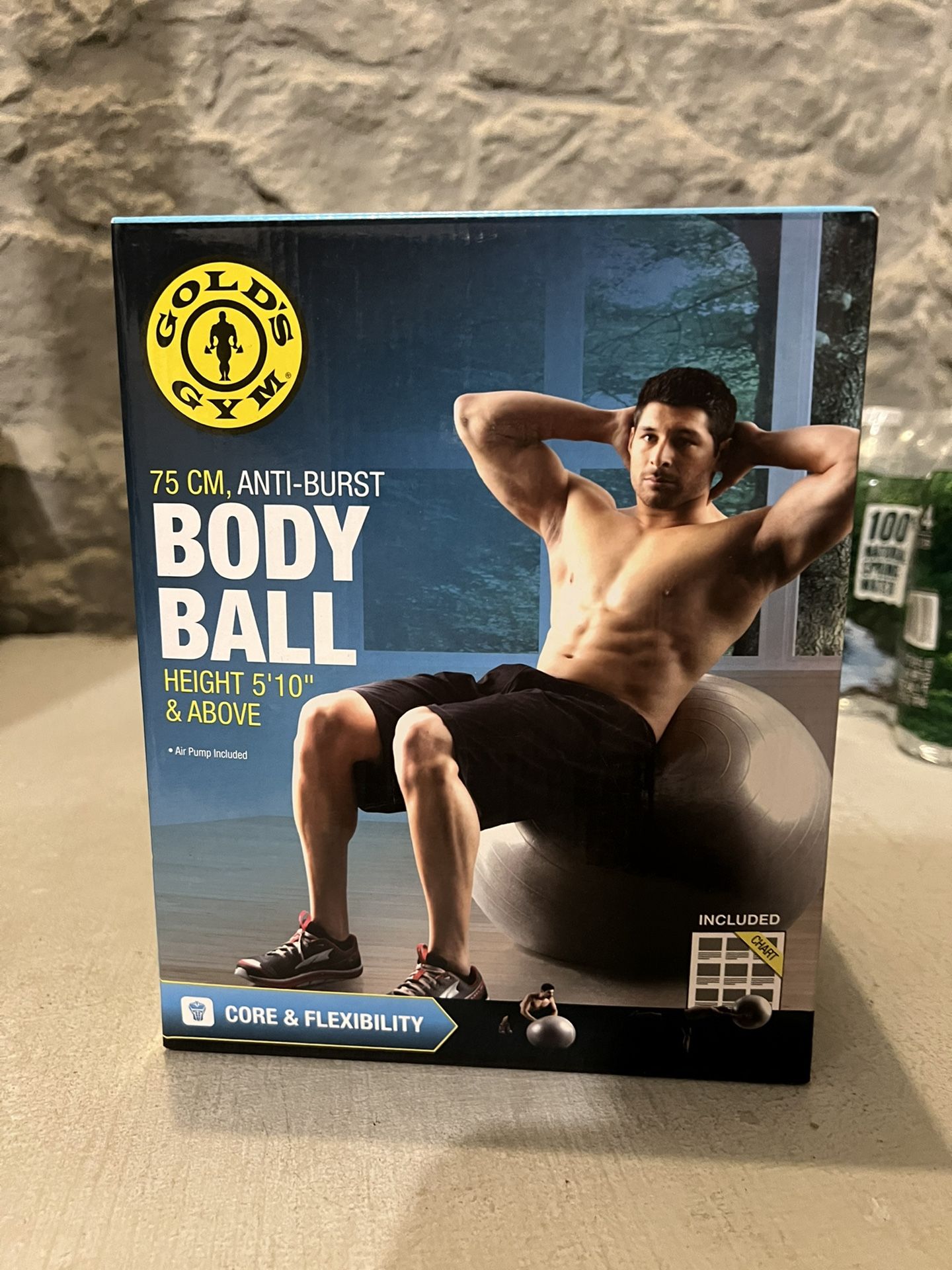 Gold’s Gym 75 cm Anti-Burst Exercise Body Ball