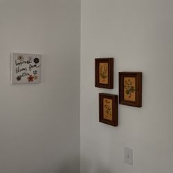 Framed Artwork, Small To Large