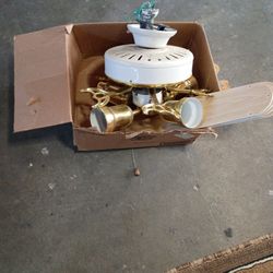 Celine Fan With Light 