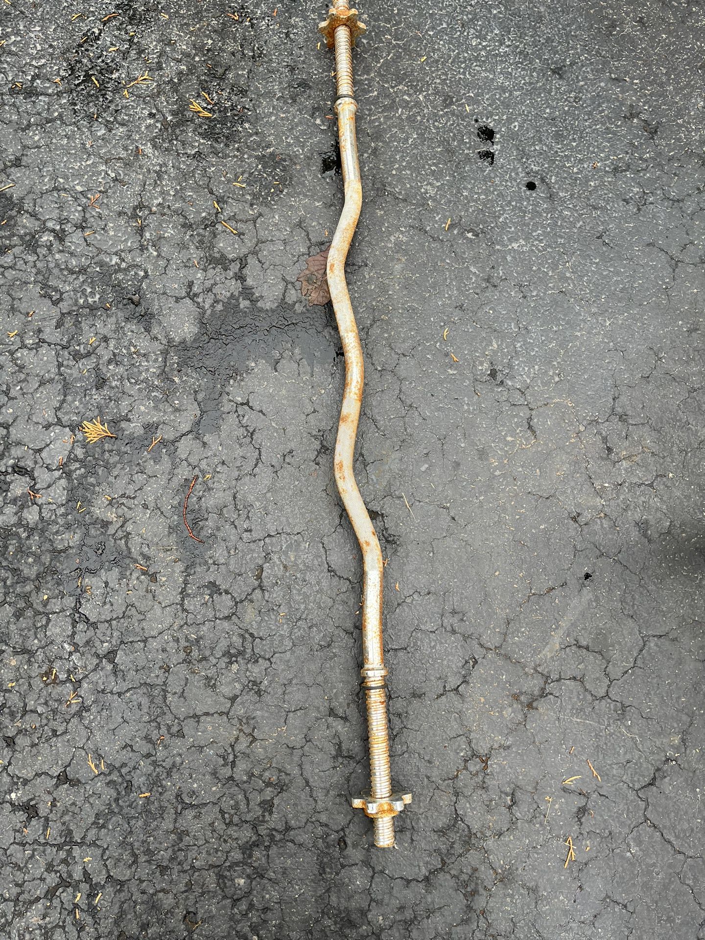Curl Bar