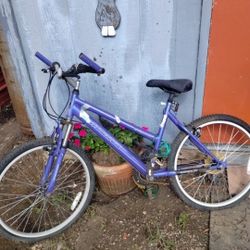 Bicycle 22 Speed Great Price