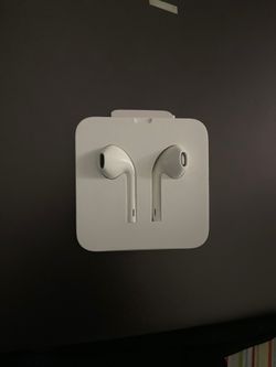 Apple Ear Buds Head Phones