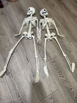 Halloween/party decor
