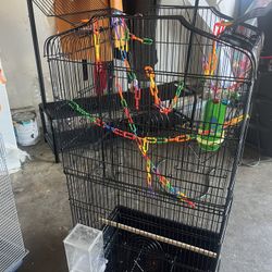 Bird Cage 