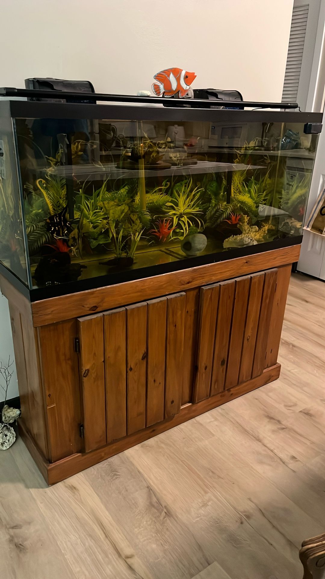 Fish Tank 48” X 12 1/2”