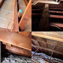Attic Cleanup Insulation Removal 
