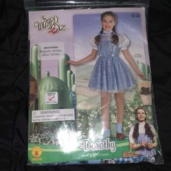 Dorothy Costume