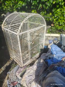 Parrot cage used
